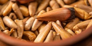 El piñón en la mesa: dos emprendedoras que convirtieron el fruto del pehuén en identidad gastronómica